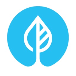 Body Shaper - Weight Loss Plan