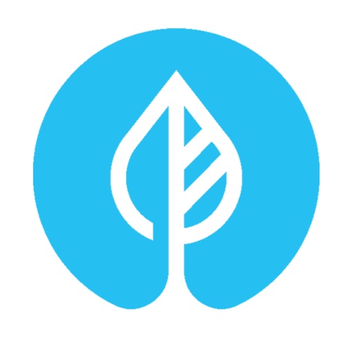 Body Shaper - Weight Loss Plan