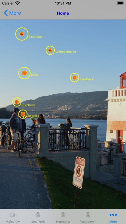 Webcam World Viewer screenshot-4