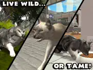 ultimate cat simulator ipad capturas de pantalla 4