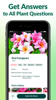 plantum - ai plant identifier problems & solutions and troubleshooting guide - 4