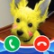 My Talking Dog Calling You!