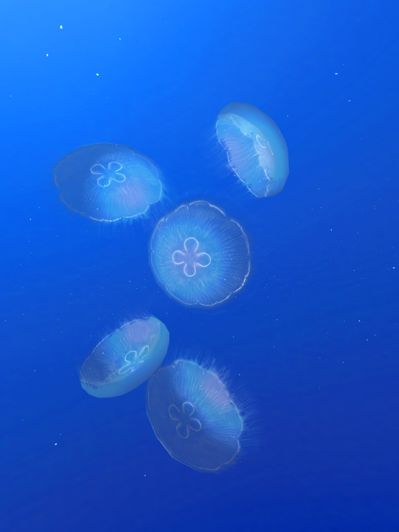 JellyfishGO -  Appreciation iPad screenshot