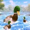 Icon Virtual Duck Life Simulator