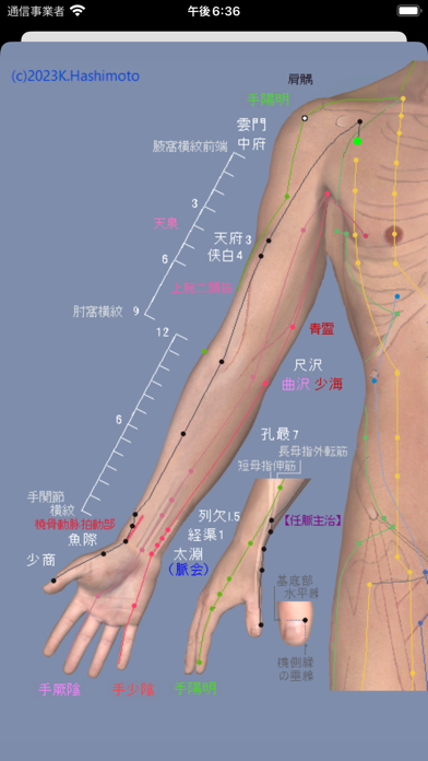 経絡ツボ検索のおすすめ画像2