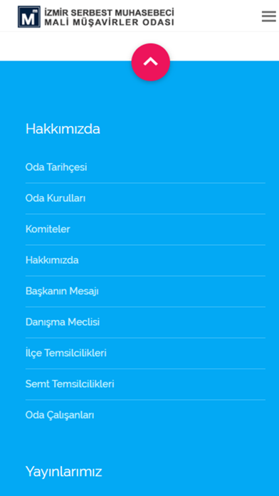 IZSMMMO Screenshot