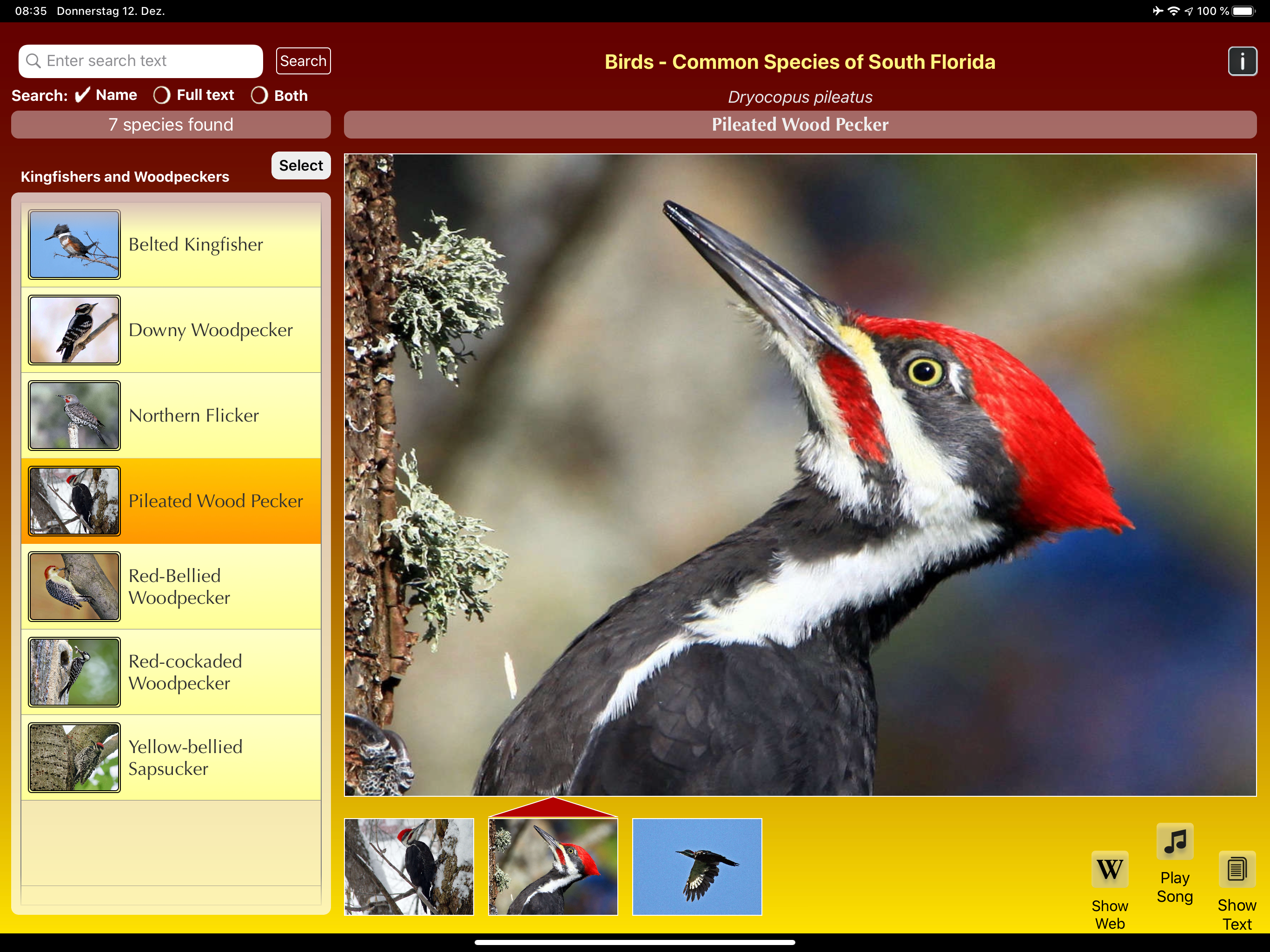 Birds of South Florida screenshot 13