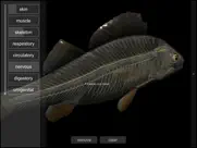 3d fish anatomy ipad images 4