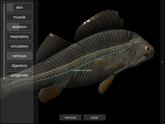 3D Fish Anatomy iPad screenshot