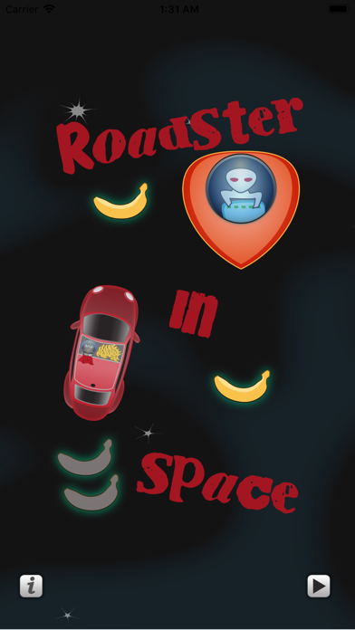 Roadster In Space screenshot 1