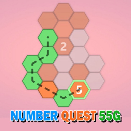 Number Quest 55G