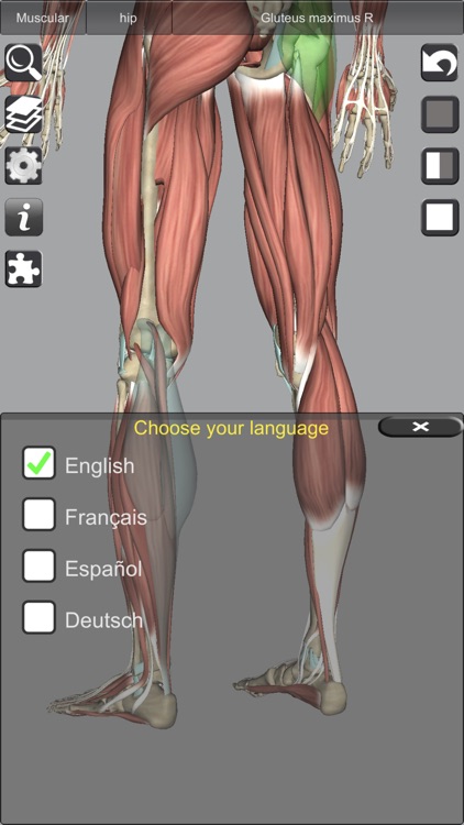 3D Bones and Muscles (Anatomy) screenshot-8