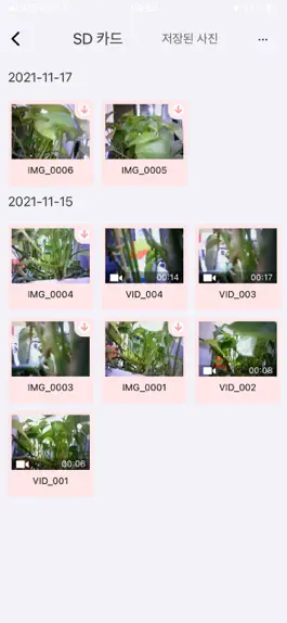 Game screenshot Akarachi Cam apk