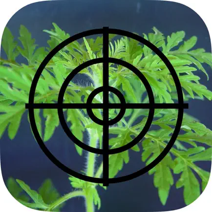 PME Watcher Читы