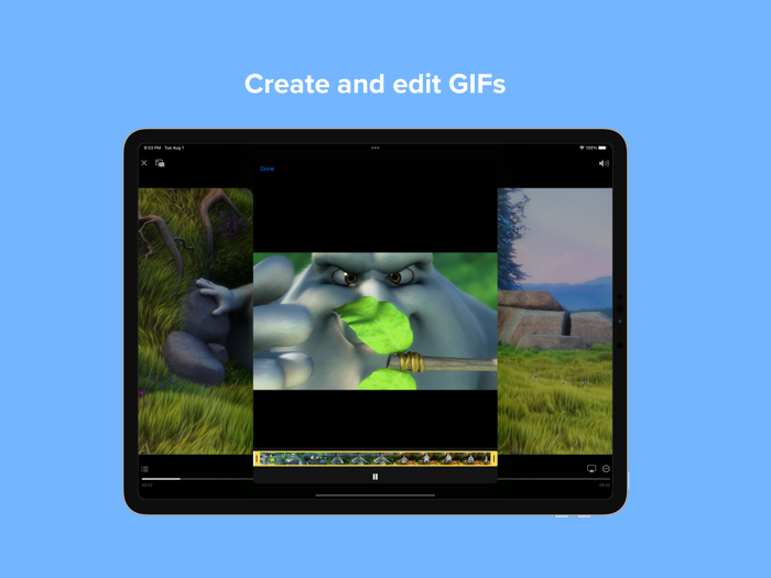Video Player - PIP and more