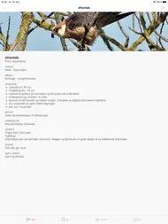 Fugle ipad bilder 2