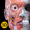 Anatomy 3D Atlas - Catfish Animation Studio