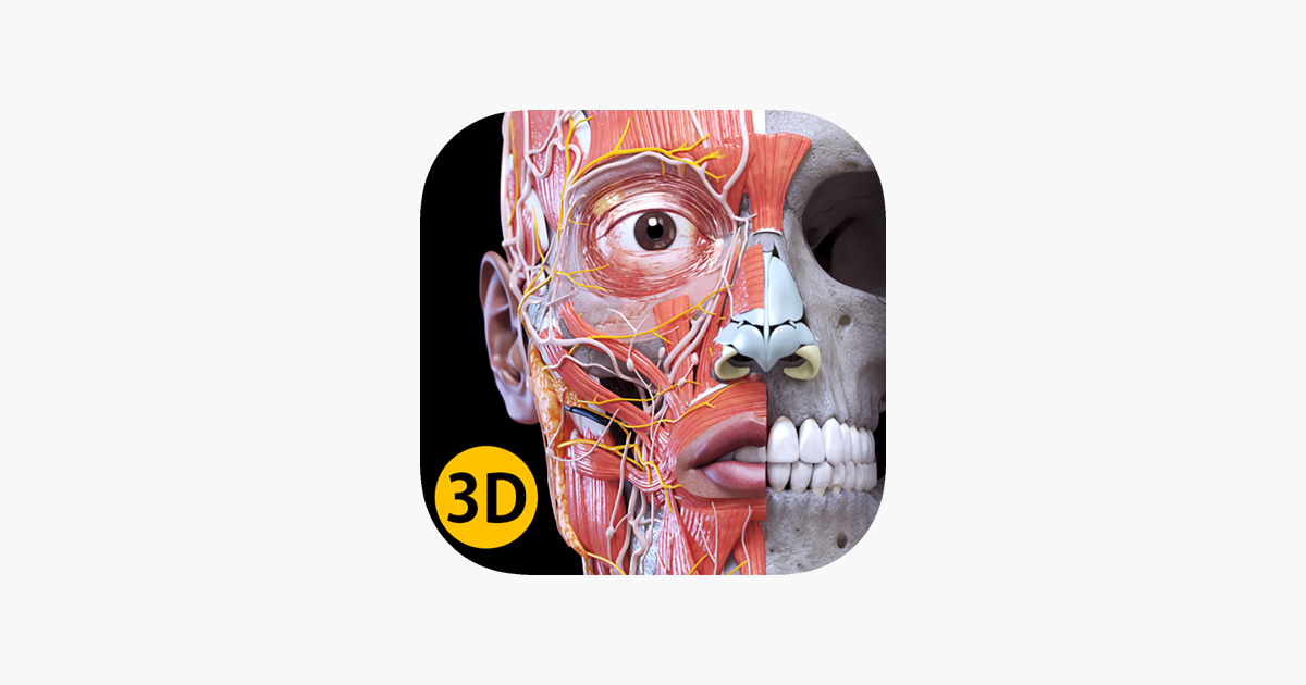 Anatomie - Atlas 3D dans l'App Store