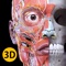 Anatomy 3D Atlas