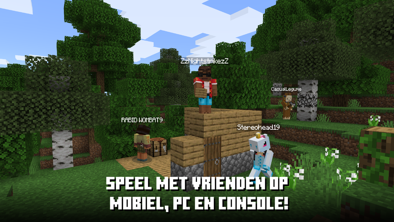Minecraft screenshot 4 - iOS game interface