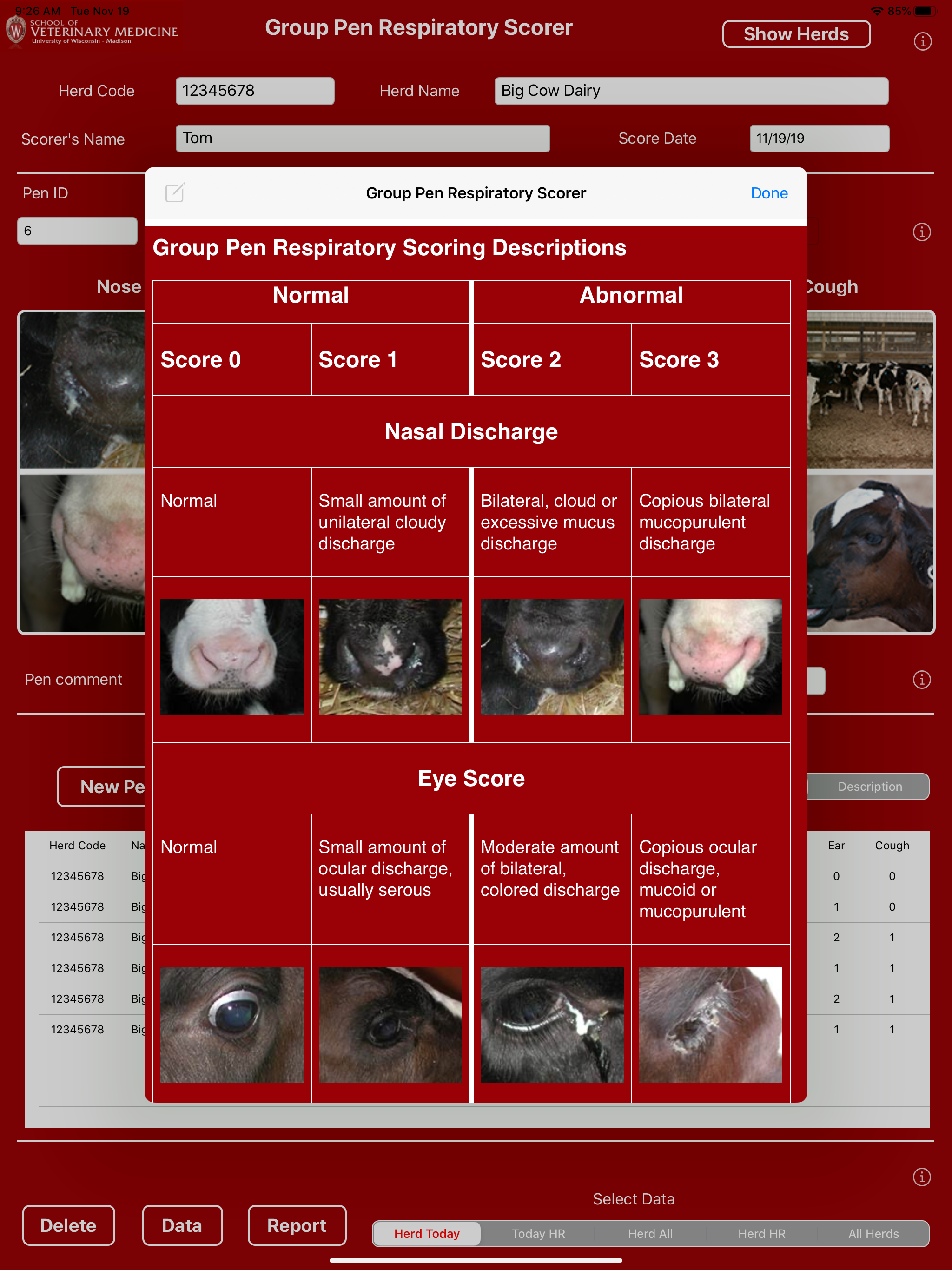 Group Pen Respiratory Scorer screenshot 17