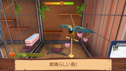 Pet World プレミアムバンドルのおすすめ画像3