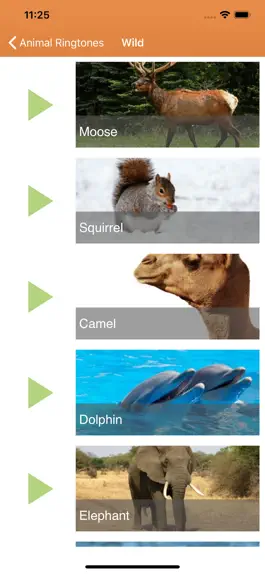 Game screenshot Animal Ringtones & Sounds apk