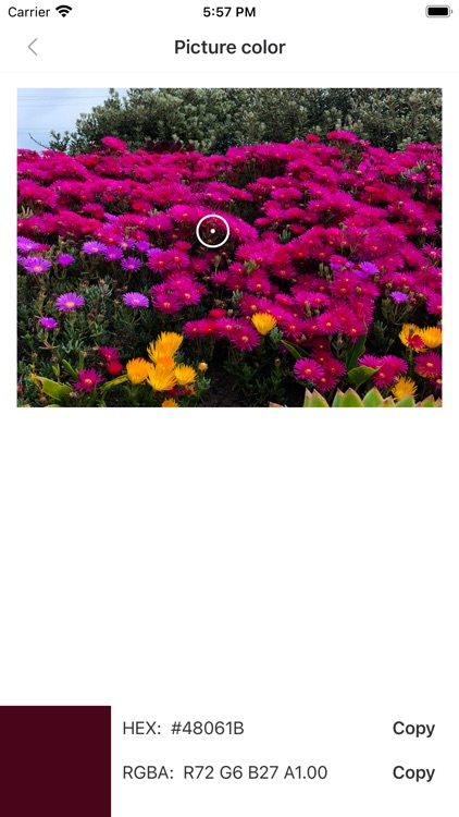 万色取色器 screenshot-4