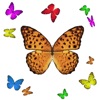 1001 Butterflies icon