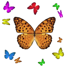 Ícone do app 1001 Butterflies