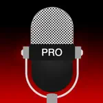 Voice Recorder - Audio Record App Problems
