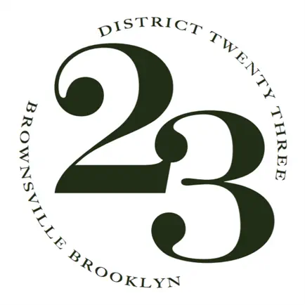 NYC District 23 Rising Читы