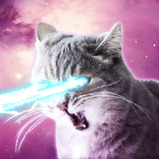Laser Cats Animated - AppWisp.com