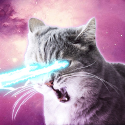 Laser Cats Animated icon