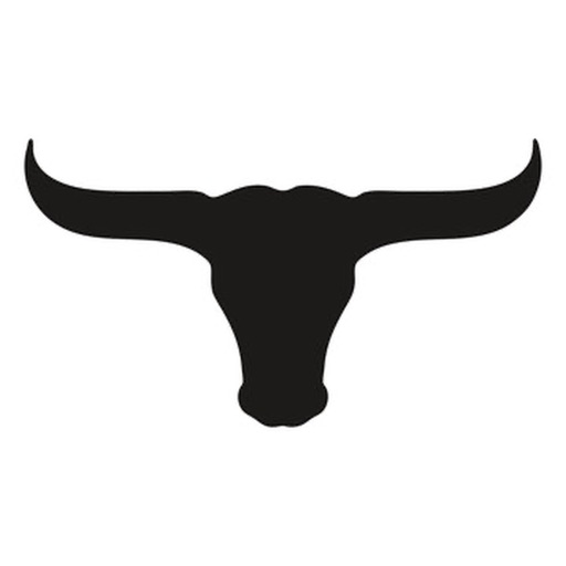 Texas Longhorn Stickers