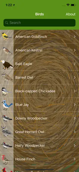 Game screenshot Word of the Bird mod apk