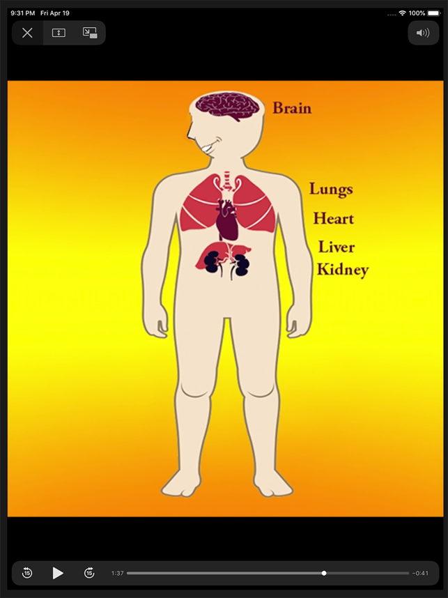 ‎Body Parts Skeletal & Internal Screenshot