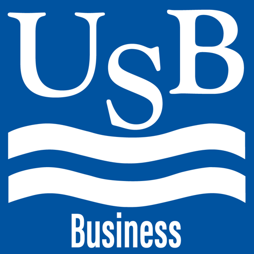 UNITED SOUTHERN BANK BUSINESS
