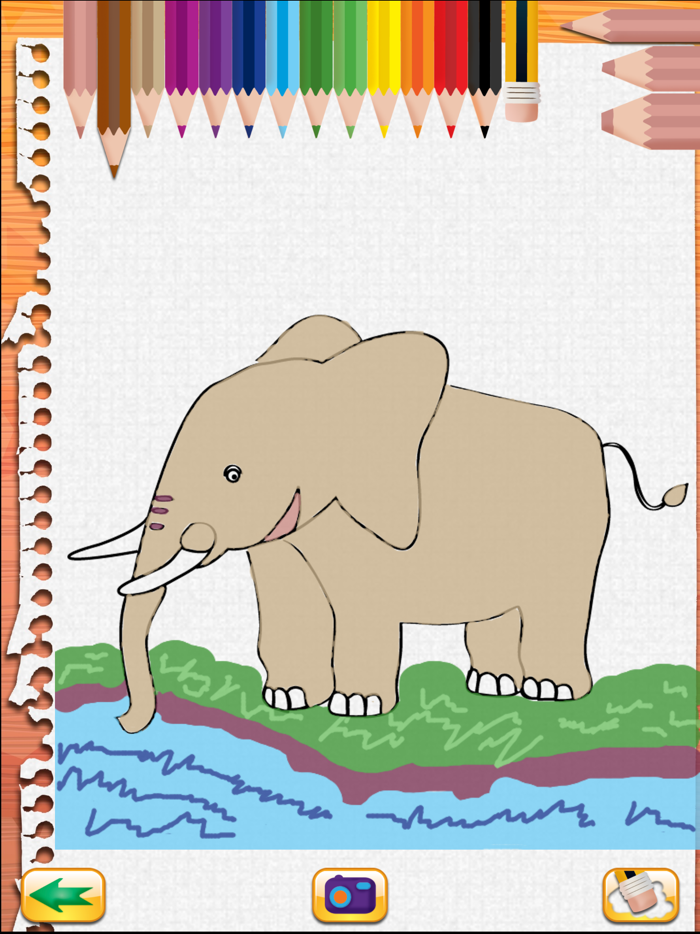 Crea e colora la giungla PRO