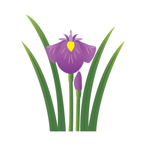Sticker iris icon