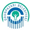 Odunpazarı Belediyesi icon