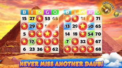 Bingo Cruise™ Live Casino Game Screenshot