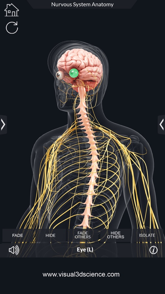 #4. My Nervous System Anatomy (iOS) 由: Santosh Chavan