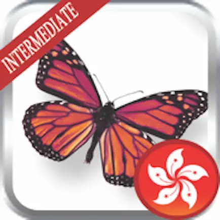 Cantonese Intermediates Читы