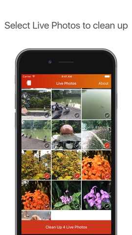 Lean - Clean up Live Photosのおすすめ画像1