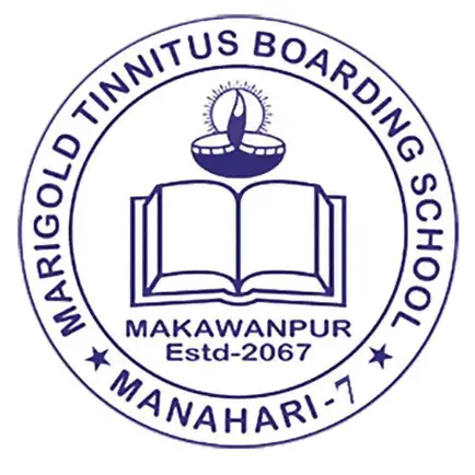 Marigold Tinnitus B. School Читы