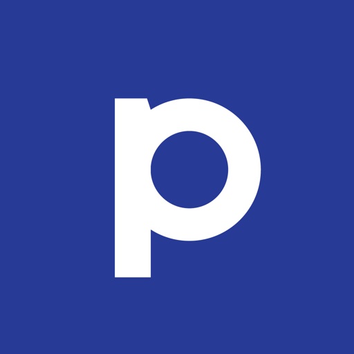 Punto Pago Icon