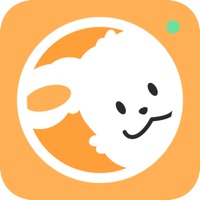 도기보기: AI 펫 CCTV, 행동감지, 강아지, 펫캠  PC 용