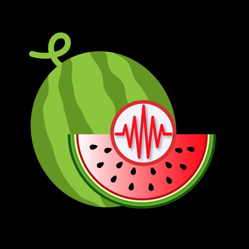 Melon Aid icon