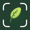 Plant Identifier: Plant Care icon